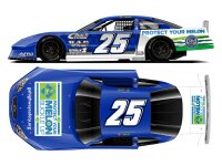Ross Chastain #25 NASCAR 2024 RW Chevrolet Protect Your...